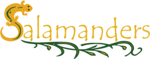 Salamanders